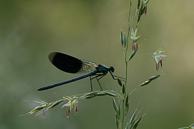 Blickwinkel