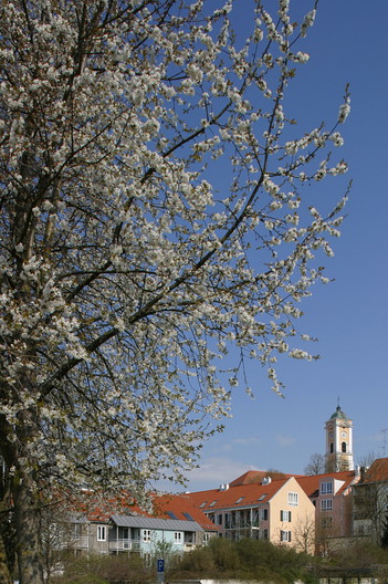 Bad Birnbach