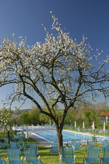 Bad Birnbach