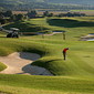 Bella Vista Golfer
