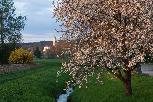 Frühling in Bad Birnbach