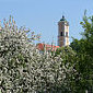 Bad Birnbach