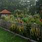 Sommerlicher Bauerngarten