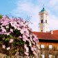 Kirche Bad Birnbach