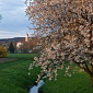 Fr&uuml;hling in Bad Birnbach