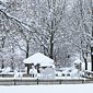 Winterlicher Bauerngarten