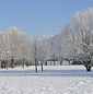 Wintertag im Kurpark