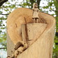 Kunstwerk "Waldfeen"