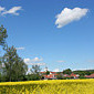 Bad Birnbach