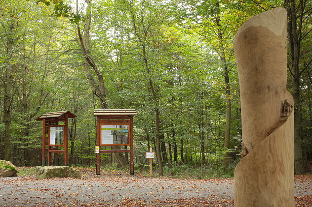 Waldfeen