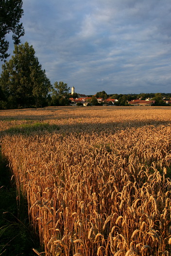 Bad Birnbach