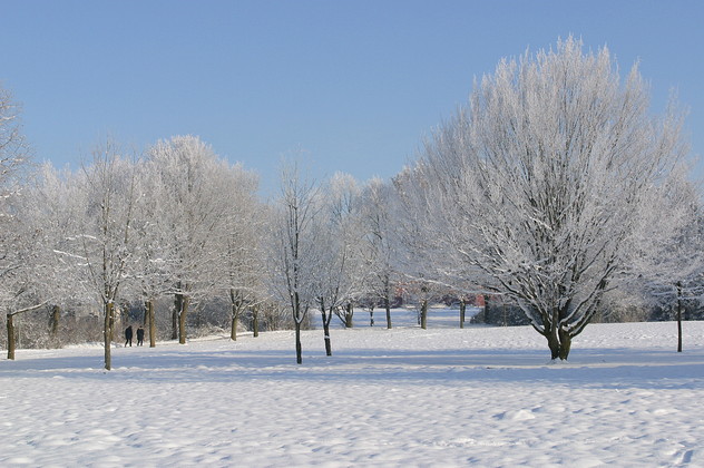 Wintertag im Kurpark