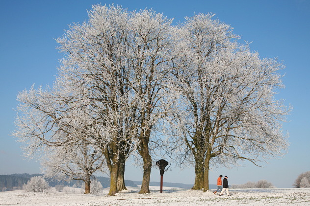 Winterwanderung