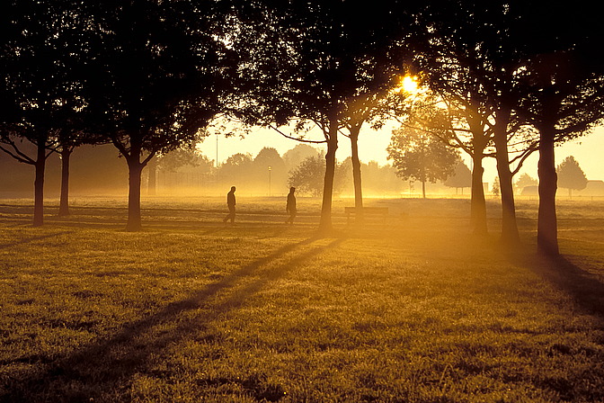 Spaziergang am Morgen