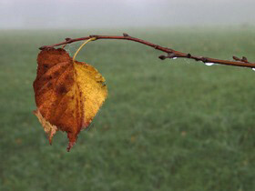 Blickwinkel
