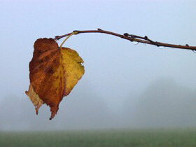 Blickwinkel