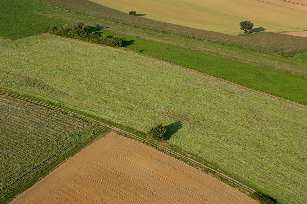 Felderlandschaft