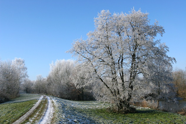 Raureif-Landschaft