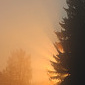 Januar