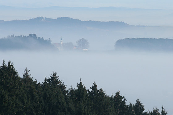 Nebellandschaft