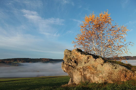 Krokodilfelsen