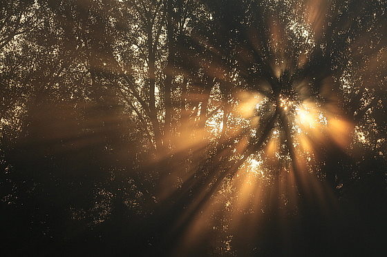 Oktobernebel