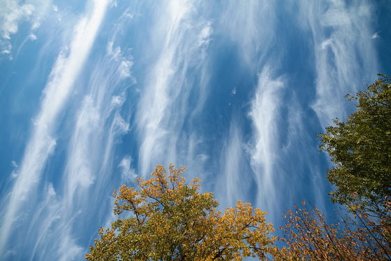 Federwolken im Herbst