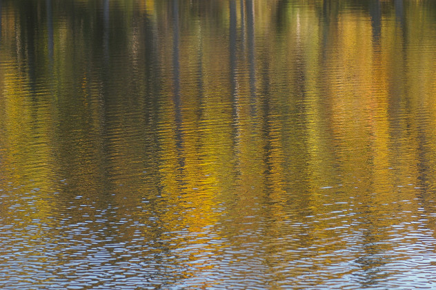Herbst