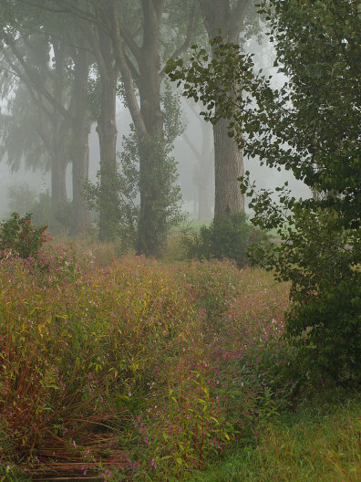 Es herbst`lt