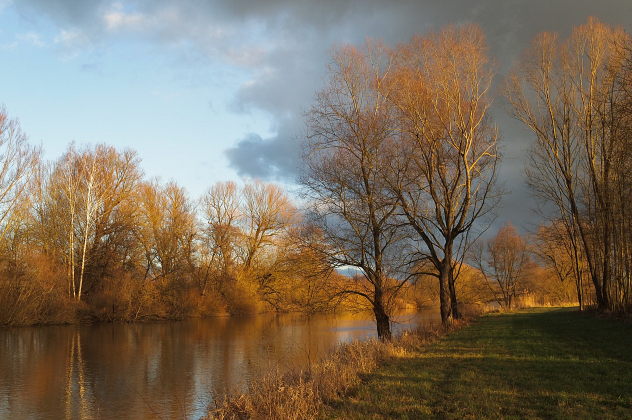 Januarnachmittag an der Rott