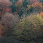 November