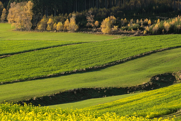 Herbst im Rottal