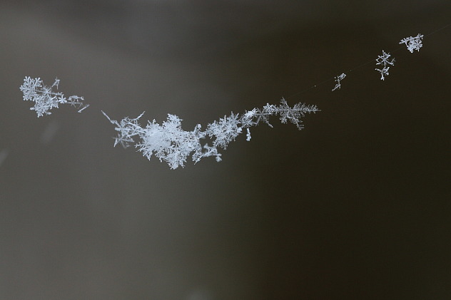 Schneeflocken / Schneekristalle