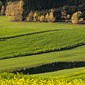 Herbst im Rottal