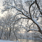 Januar