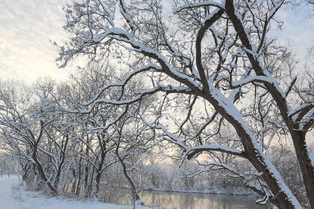 Wintermorgen