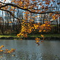 November