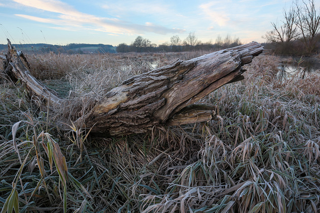 Holzskulptur