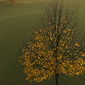 November