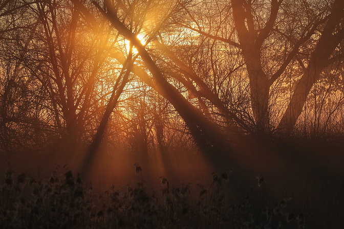 Morgenstimmung