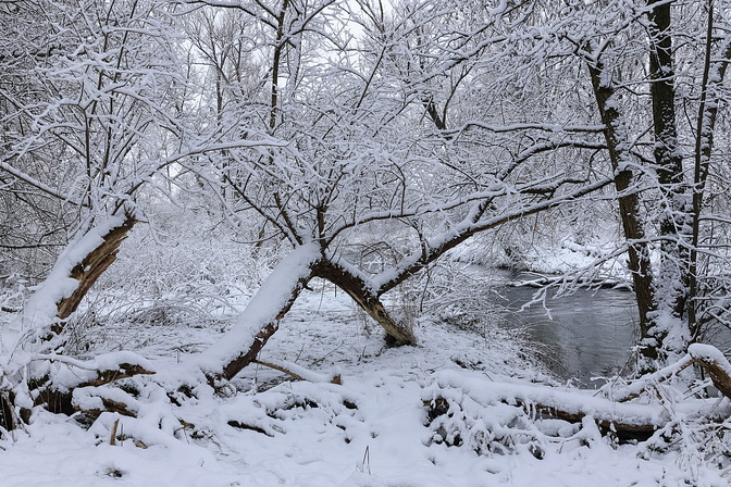 Winter-Wildnis
