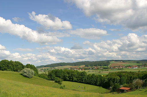 Frühling