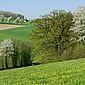 Fr&uuml;hling