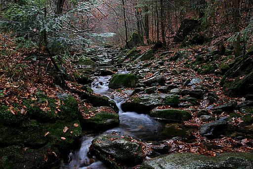 Bergbach im Herbst