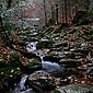 Bergbach im Herbst