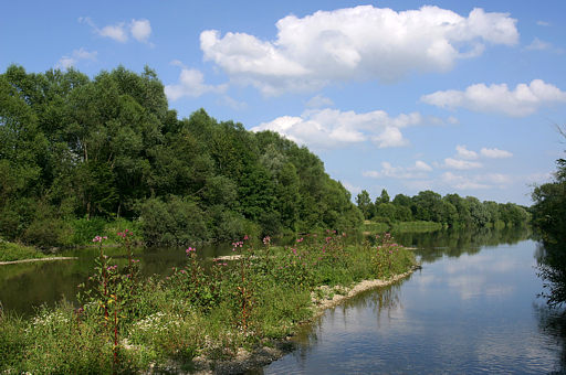 Sommertag an der Rott