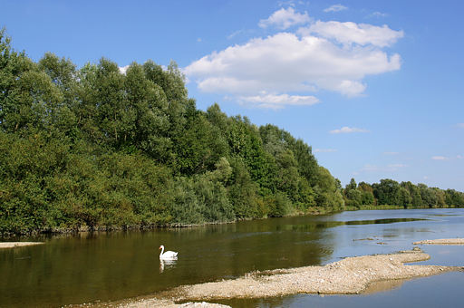 Flusslandschaft