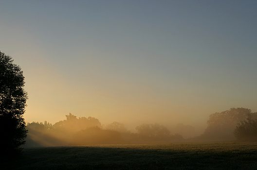 Morgenstimmung