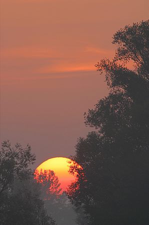 Emporsteigende Sonne