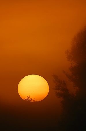 Sonnenaufgang bei Nebel